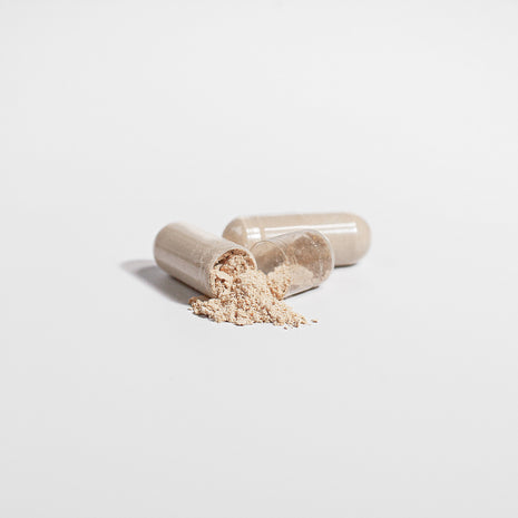 Thrive's Reishi Capsule