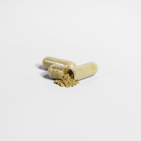 Thrive's Ginkgo Biloba + Ginseng Capsule