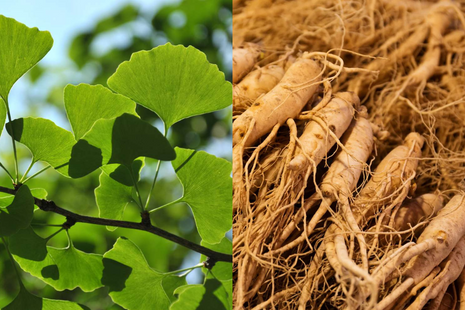 Pure Organic Ginkgo Biloba & Ginseng