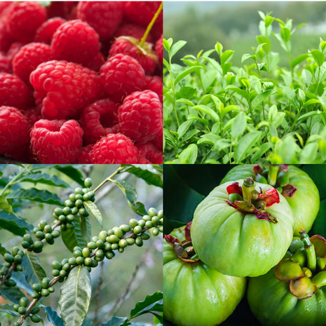 Pure Ingredients