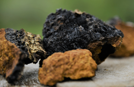 Pure Organic Chaga